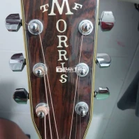 Morris W-50 - Guitar chất lượng, giá tốt!