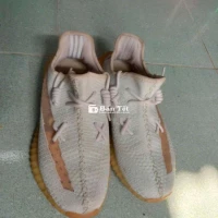 Giày yz 350 size 43