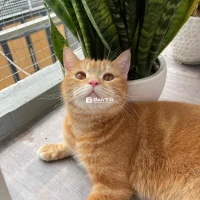 Tìm nhà Mới cho bé