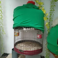 2 cái inox size 38 mất khay phân