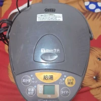 Bình thủy điên