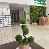 Cho thuê căn hộ GreenField - 65m², 2PN, 2WC - 11 triệu/tháng