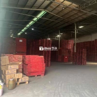 CHO THUÊ XƯỞNG ĐÔNG THẠNH, HÓC MÔN - 1800M²