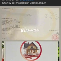 Bán đất lúa 5000m² khu vực Tân Nhựt, Bình Chánh, HCM