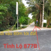 Cần bán 1000m2 đất vườn dừa đang cho trái - Giá tốt!