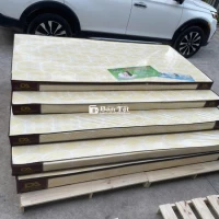 NỆM GIÁ KHO - KHÔNG LO VỀ GIÁ 499K!