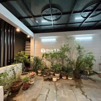 SIÊU PHẨM KIM MÃ - BA ĐÌNH - NGÕ NÔNG
