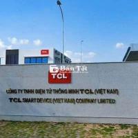 Công Ty Điện Tử TCL Tuyển Nam Nữ Thời Vụ