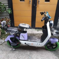 Xe đạp điện 4 bình 48v, mới 100%