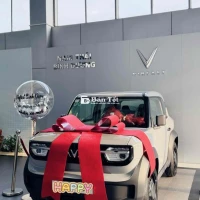 Sở hữu VinFast VF3 chỉ với 45 triệu đồng!