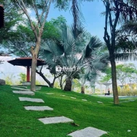 ĐẤT MẶT TIỀN KD, TT LAI UYÊN-BÀU BÀNG 100M2 từ 750TR