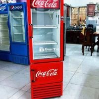TỦ MÁT COCA 300 LÍT. Lạnh nhanh.