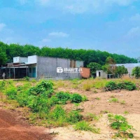 305 triệu đất thổ cư, đường nhựa mới đang làm. Chính chủ bán gấp