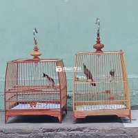 Cả 2 bộ chim 2 mùa lồng tất cả 1tr2