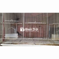 Thanh lý cặp chim trống mái giá 400k