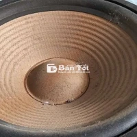 Cặp Loa Bass 25cm - Chất Lượng Tuyệt Vời!