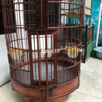 chim lồng bh xưa 60 nang