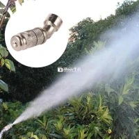 1 cái vòi phun nguyên tử bằng đồng thau
