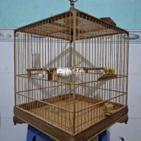 Lồng Vuông chào mào