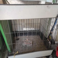 Bán chuồng gà vuông 60