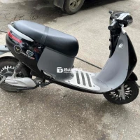 gogo còn ngon