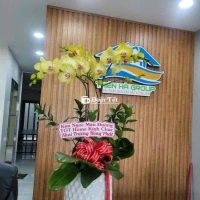 Tuyển nhân viên văn phòng