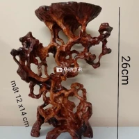 Đôn Bonsai Nghệ Thuật Đẹp