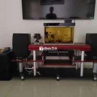 Sub bãi bass 30 siêu đẹp và cặp loa Paramax
