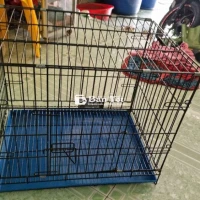Lồng Chó Cần Chia Lại  