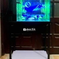 bể 644 như hình bơm lọc đèn chân như hình