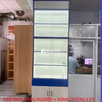 TỦ KÍNH CƯỜNG LỰC & TỦ TRƯNG BÀY CAO 290CM