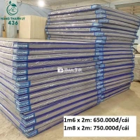 Nệm Cao Su Non Dày 10cm Mới 99%