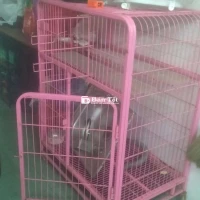Lồng chó mèo to có bánh xe thiện lợi