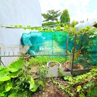 🍍🥑Đất nền Long Trường, Thủ Đức -Ô tô - 70m2💥Đầu tư sinh lời cao💥