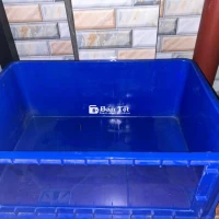 Hồ Cá 60x41x31cm - Giá Rẻ - Quận 7