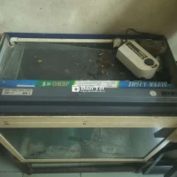 Bán Hồ Cá Đẹp, Có Sẵn Máng Đèn & Lọc Nước