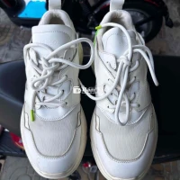 Giày Trendiano Chính Hãng - Mới 90% - Size 42  