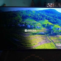 Ti vi LG 65 inch - Smart TV 4K, chất lượng cao, giá tốt