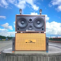 Loa Bass 20 Đôi 4 Đường Tiếng - Chất Lượng Cao