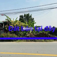 Cần bán gấp lô đất 274m² / 590tr – Mặt tiền Tân An Hội, Củ Chỉ – Pháp lý chuẩn