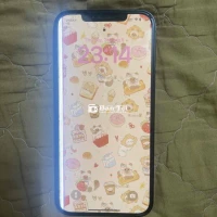 IPHONE 12 PRO MAX 512GB  