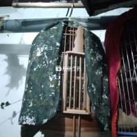 Có cái lồng my mới mua 380k quán h bán 3l m