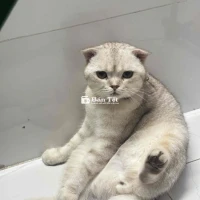 Bé đực hiền quấn người lắm ạ  