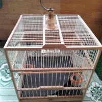 Lồng chim chào mào - Mới 100%