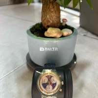 Swatch Máy Thụy Sĩ ĐH Swatch 6 Kim Chạy Chronograph  