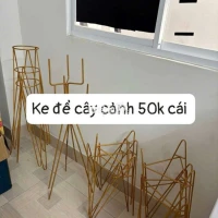 Kệ để cây cảnh
