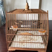 Chim Lồng thái đấu tre già