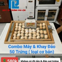 Thanh lý