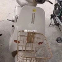 Xe điện Dylexe K1