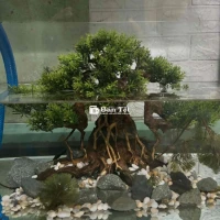 hồ chơi thuỷ sinh